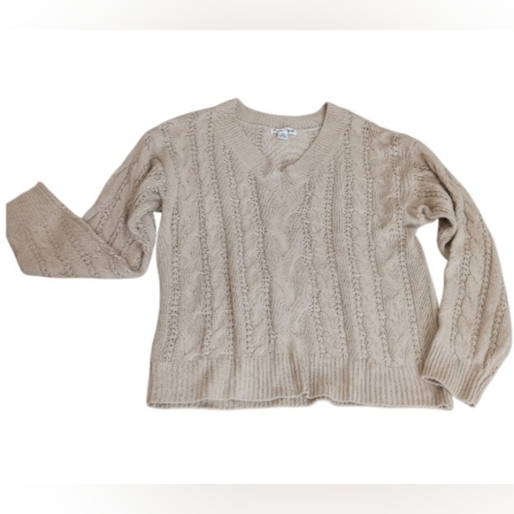 Caren Sport Women's Sweater Beige Knit Classic Fall Winter Minimalist Capsule 3X